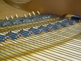 https://0901.nccdn.net/4_2/000/000/038/2d3/P1080386.JPG
